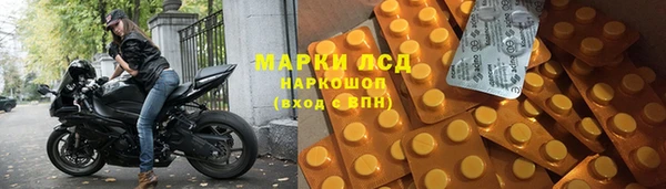 прущая мука Тайга