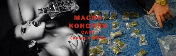 индика Тавда