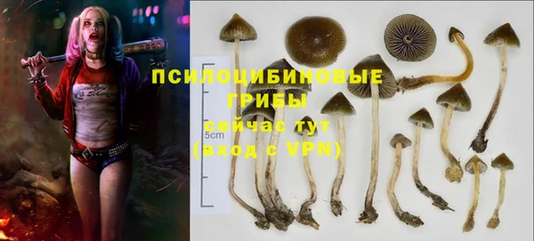 прущая мука Тайга