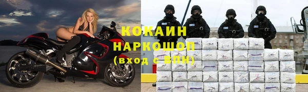 прущая мука Тайга