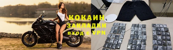 индика Тавда