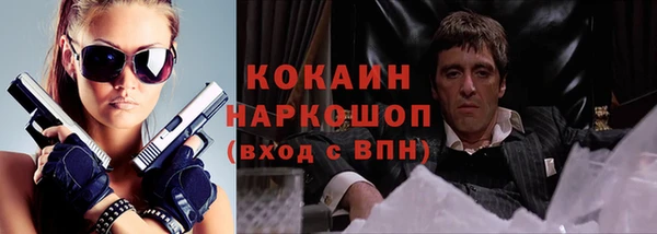 индика Тавда
