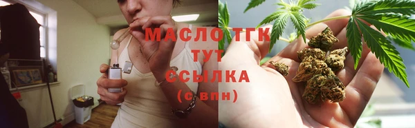 индика Тавда
