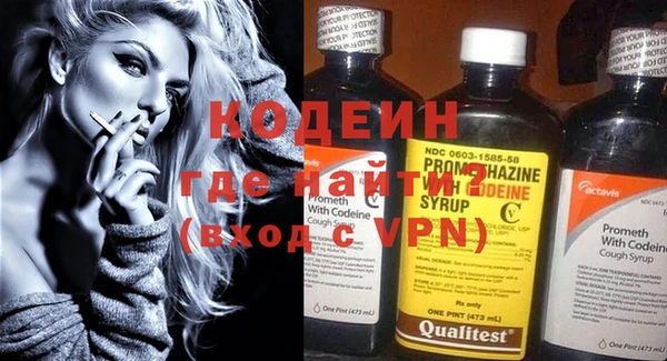 индика Тавда