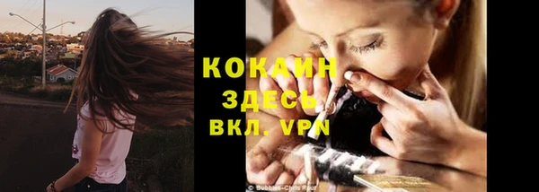 индика Тавда