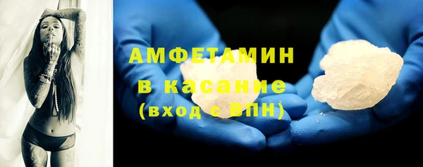 индика Тавда