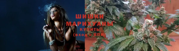 индика Тавда