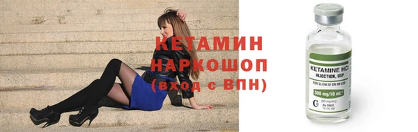 индика Тавда