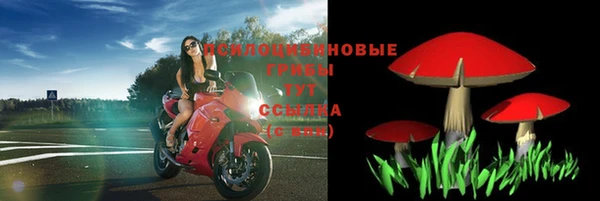 индика Тавда