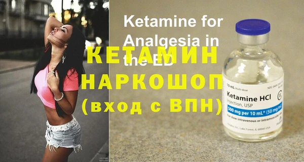 индика Тавда