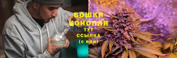 меф Сясьстрой