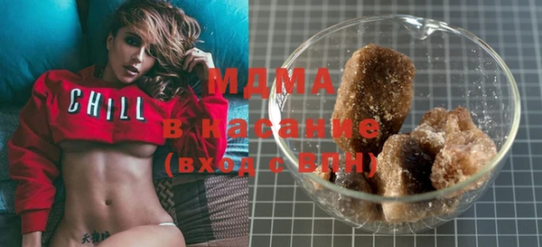 индика Тавда
