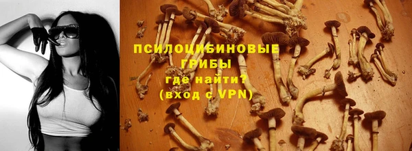 меф Сясьстрой