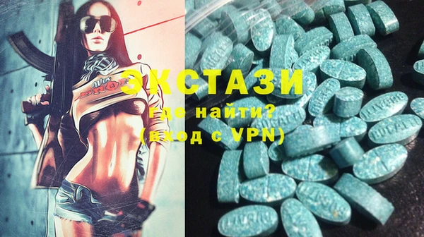 индика Тавда